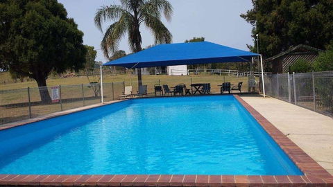 Jacaranda Motor Lodge - Kawana Tourism 6