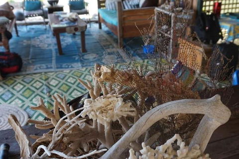 Bremer Island Banubanu Beach Retreat - Kawana Tourism 5