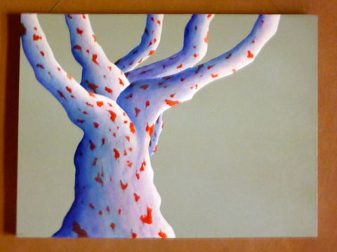 Wildwood Guesthouse - Kawana Tourism 4