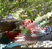 Lorne Bush House Cottages  Eco Retreats - Kawana Tourism