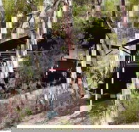 Qdos Arts - Kawana Tourism