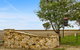Barossa Vineyard Cottages - thumb 5