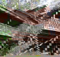 Barrington Wilderness Cedar Lodge Accommodation - Kawana Tourism