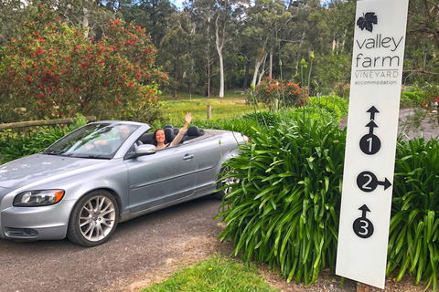 Valley Farm Vineyard Cottages - Kawana Tourism 0