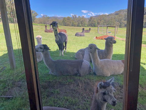 Valley Farm Vineyard Cottages - Kawana Tourism 2