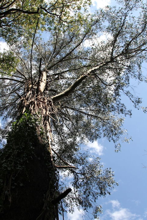 Gatehouse Cottage At Merrow Cottages - Mt Dandenong - Kawana Tourism 4