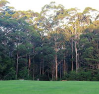 Tinglewood Cabins - Kawana Tourism