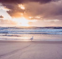 Blue Waters Motel - Kawana Tourism