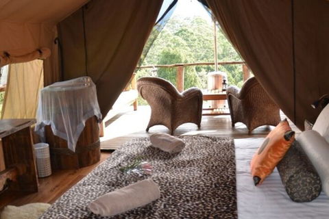 Silk Pavilions Glamping - Kawana Tourism 4