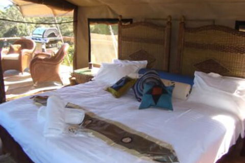 Silk Pavilions Glamping - Kawana Tourism 7