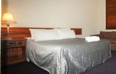 Seaton Arms Motor Inn - Kawana Tourism 1