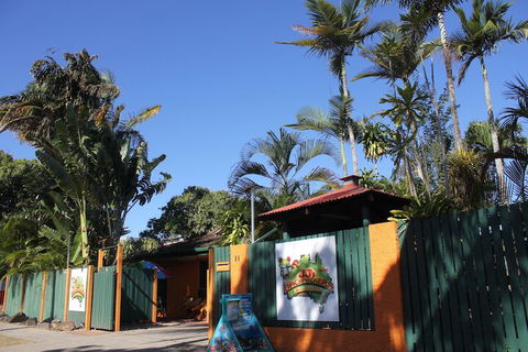 JJs Backpackers Hostel - Kawana Tourism 1