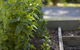 Grampians Eco YHA - Hostel - thumb 0