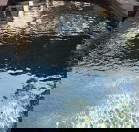 Town  Country Motel - Kawana Tourism