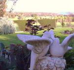 Springbank Bed  Breakfast - Kawana Tourism