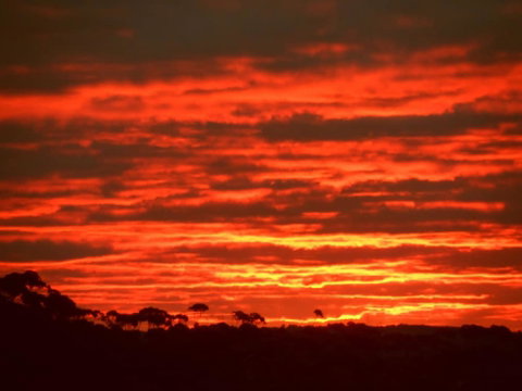 Tennessee Hill Chalets - Kawana Tourism 0