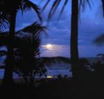 Sejala Beach Huts - Kawana Tourism