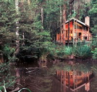 Woodlands Rainforest Retreat - Kawana Tourism