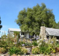 Sassafras Springs - Kawana Tourism