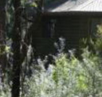 Twin Falls Bush Cottages - Kawana Tourism