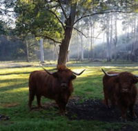 Dingley Dell - Kawana Tourism