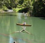 Figtree Getaway - Kawana Tourism