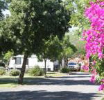 BIG 4 Hay - Kawana Tourism