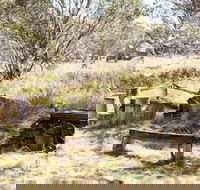 Wrens View - Kawana Tourism