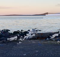 Hilton Motel - Kawana Tourism