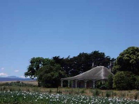 Somercotes - Kawana Tourism 6