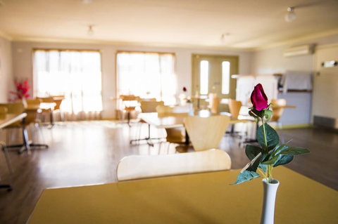 Cherry Blossom Motel - Kawana Tourism 1