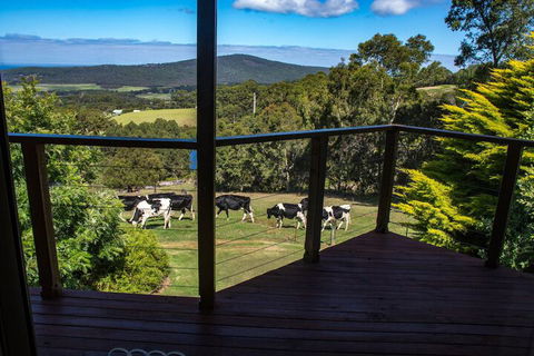 Celestine Retreat - Kawana Tourism 3