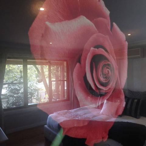 Bowral Road Bed And Breakfast - Kawana Tourism 5