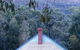 Boronia Peak Villas - thumb 5