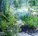 Old Miners Cottages Bed  Breakfast - Kawana Tourism