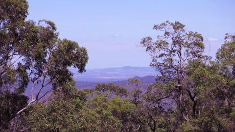 Ravensbourne Escape Cedar Lodge - Kawana Tourism 5