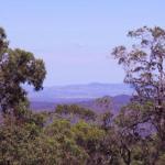Ravensbourne Escape Cedar Lodge - Kawana Tourism 0