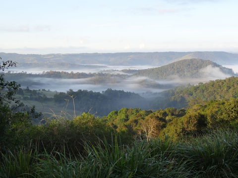 Maleny Luxury Cottages - Kawana Tourism 5