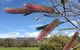 Blaze Rock Retreat - thumb 3