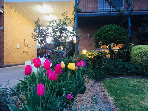 The Vines Motel And Cottages - Kawana Tourism 0