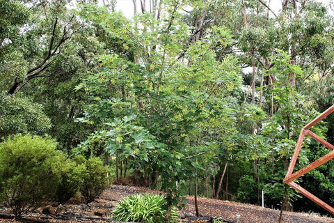 Tangenong Cottages - Kawana Tourism 4