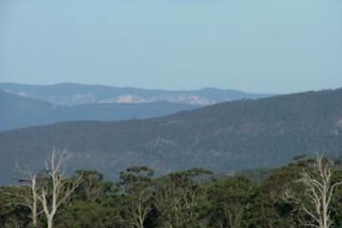 Jenolan Cabins - Kawana Tourism 5