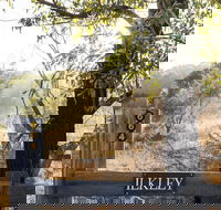 Ilkley Cottages - Kawana Tourism