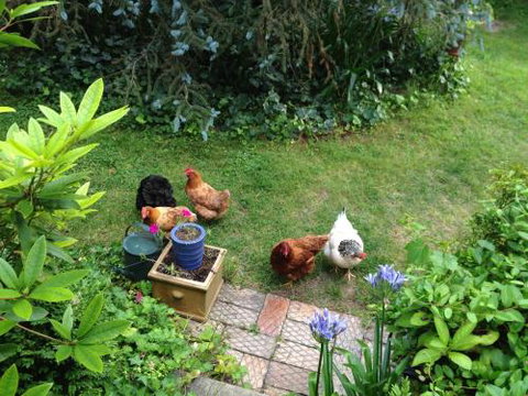 Southdown Cottage - Kawana Tourism 3