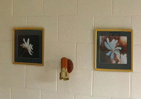 Milawa Motel - Kawana Tourism 2