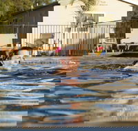 Riverside Cabin Park - Kawana Tourism