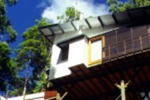 Lyola Pavilions In The Forest - Kawana Tourism 1