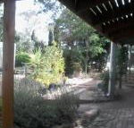 Friends in Harcourt North - Kawana Tourism