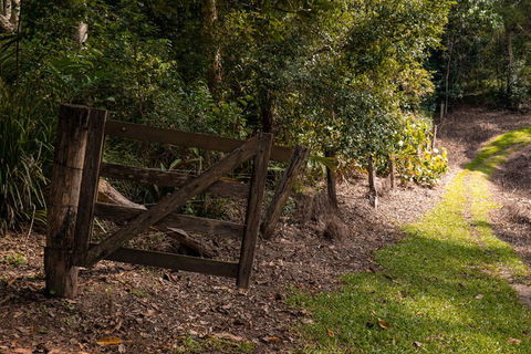Whispering Valley Cottage Retreat - Kawana Tourism 7