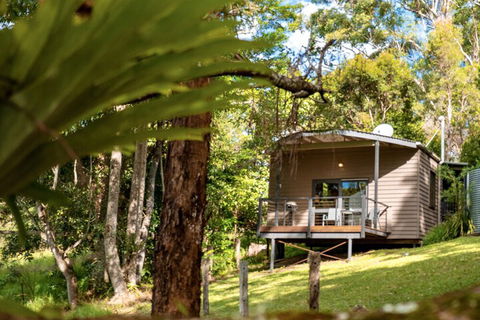 Whispering Valley Cottage Retreat - Kawana Tourism 1